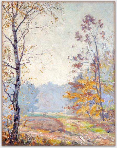 Johan Meijer - 'Zonnige Herfstmorgen' op de Larense heide