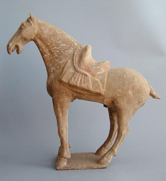 Chinese Archeologie - Tang Dynastie Paard met zadel  incl TL test (verkocht)